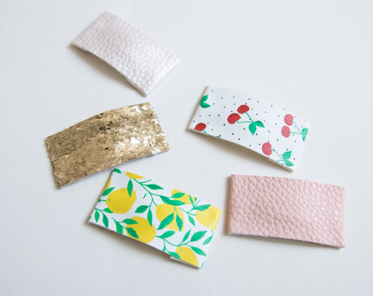Tutti Frutti Snap Clip Set